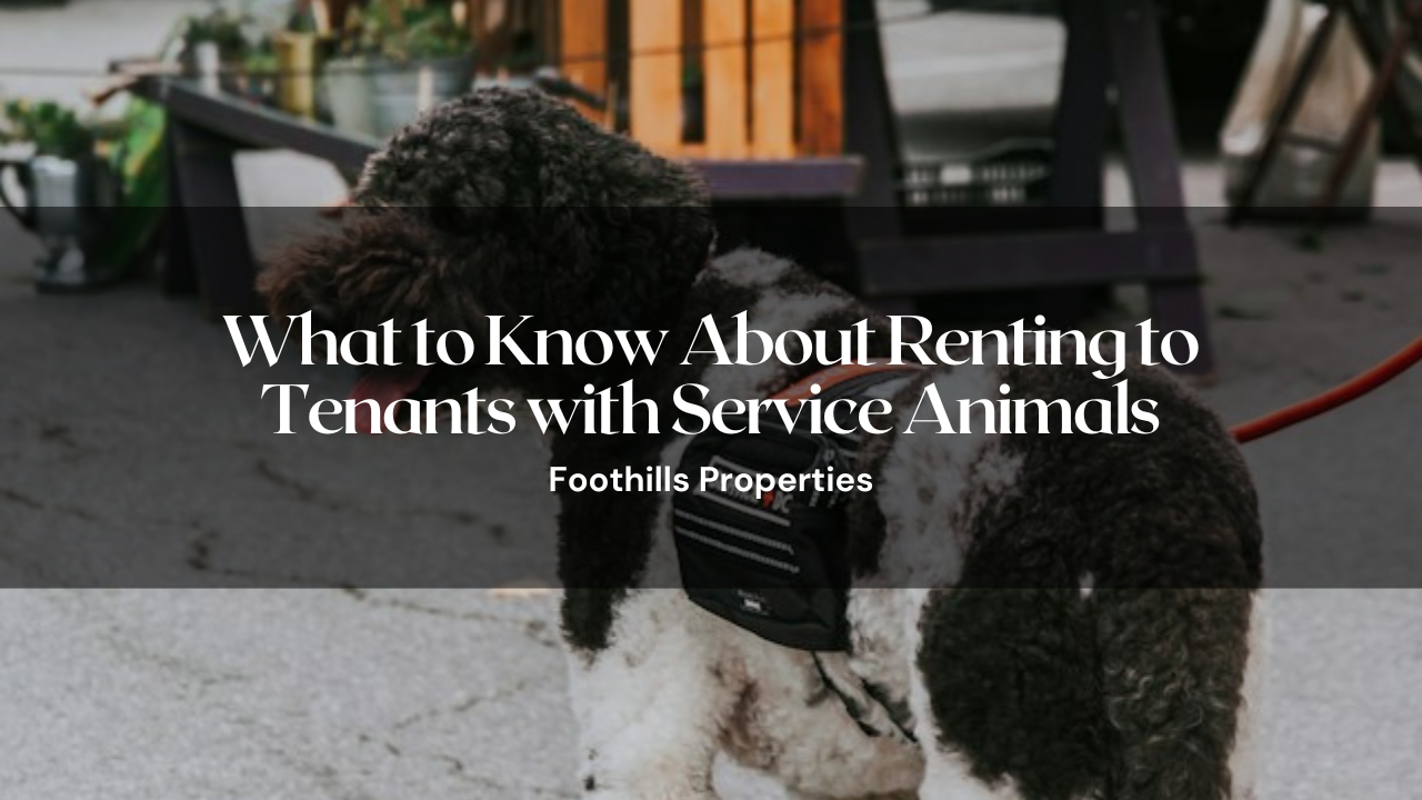 Property Management Blog